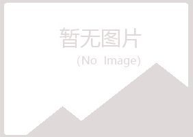 新会紫山采矿有限公司